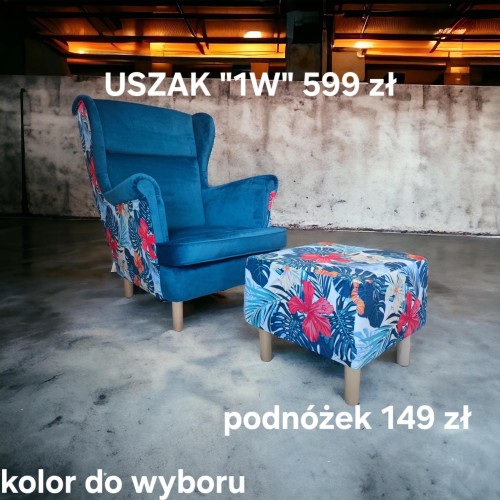 Fotel USZAK