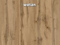 WOTAN.jpg