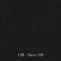 13B - Neve 100.png