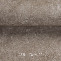 25B - Dora 22.png
