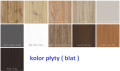 płyta.png