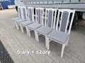 20230426_191841.jpg